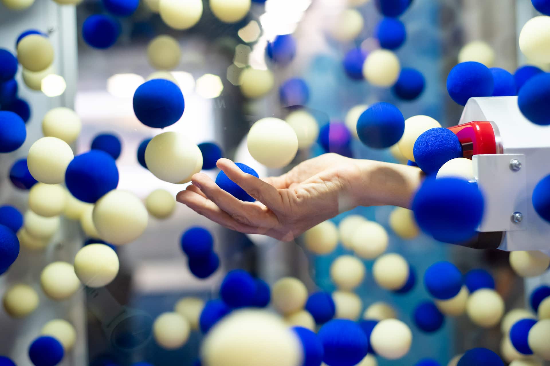 Project gallery image