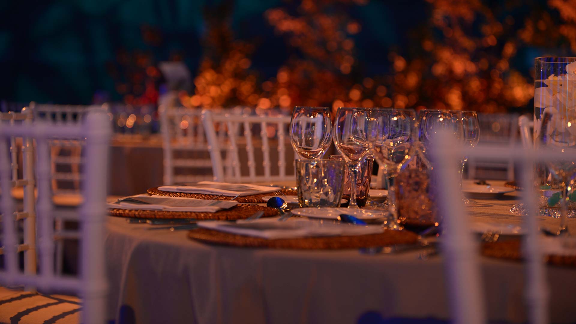 Project gallery image