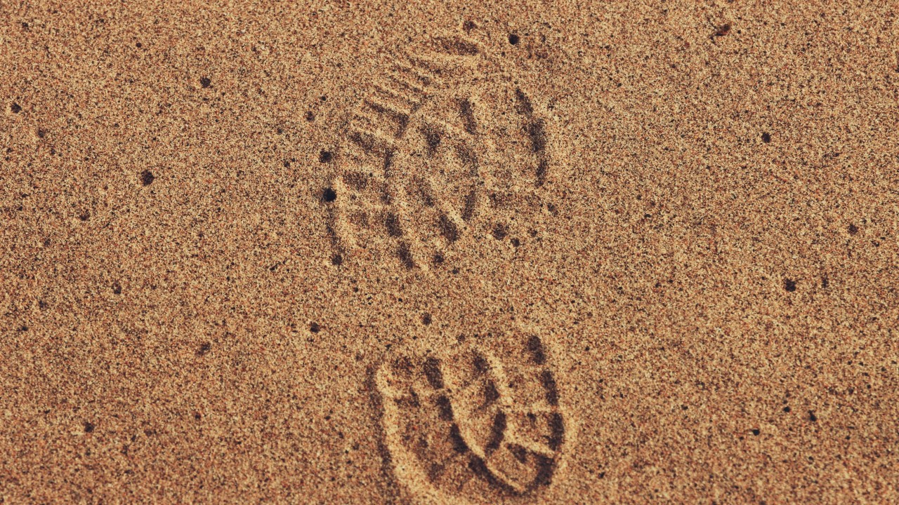 How can you tell if a carbon offset project is reliable?