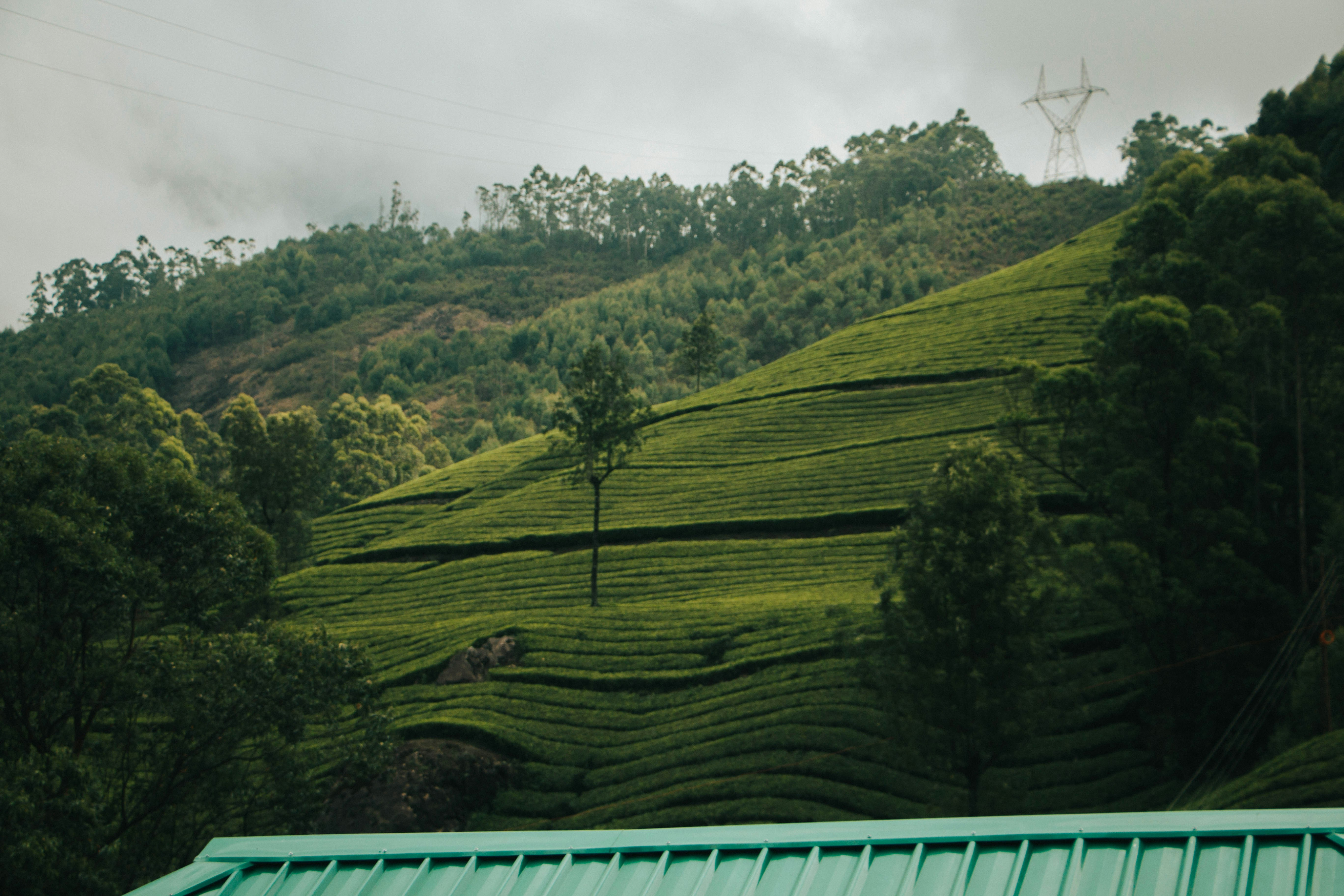 Elemento de sostenibilidad
