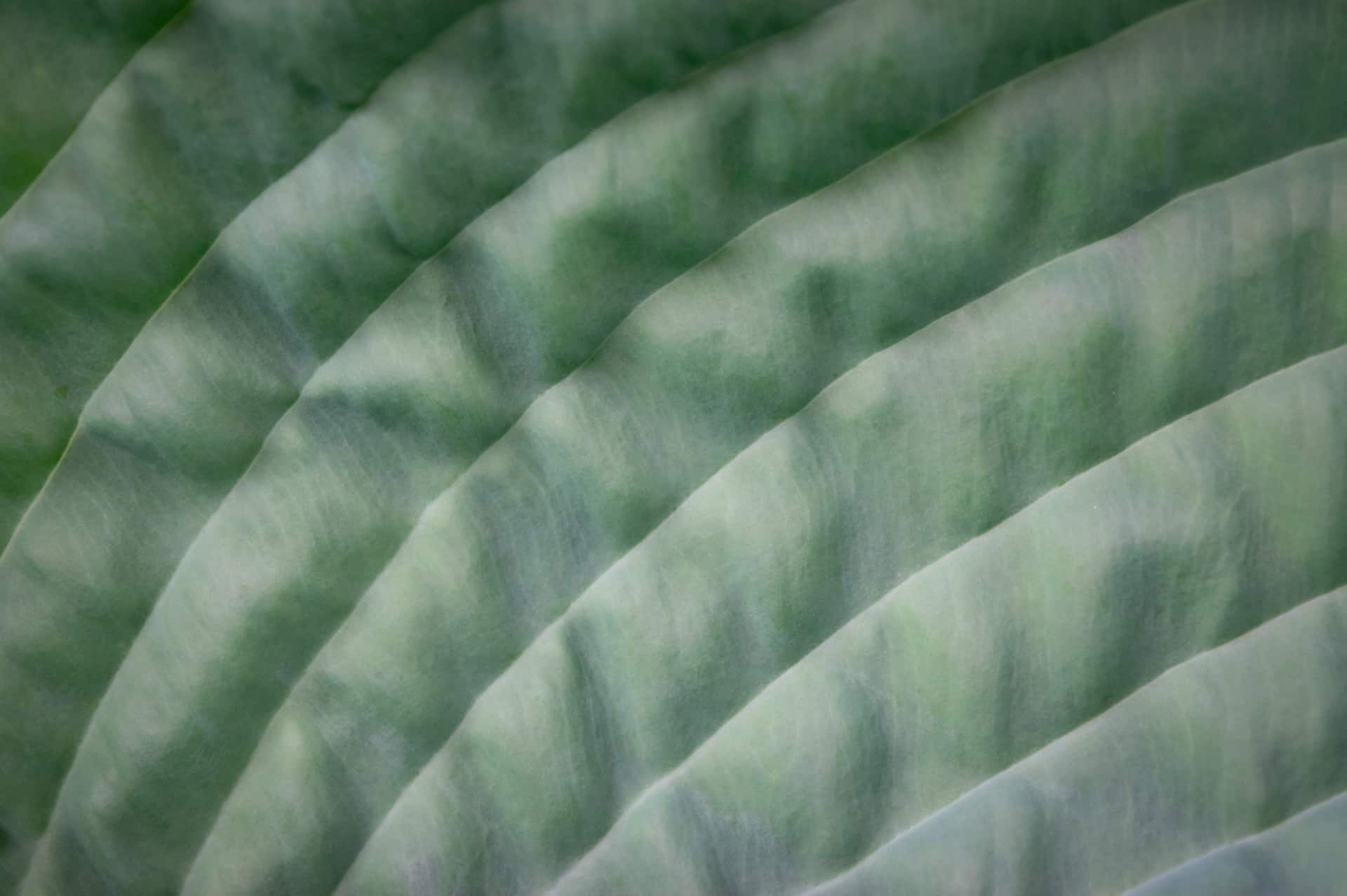 Imagen de introducción a la sostenibilidad