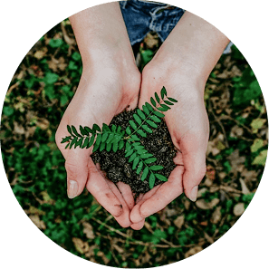 Imagen de servicios de sostenibilidad