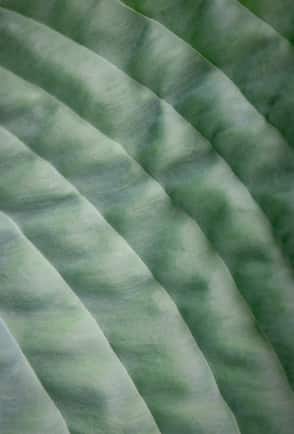 Sustainability pop-up image